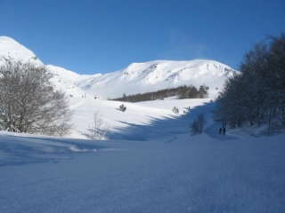 raquetas de nieve2.jpg